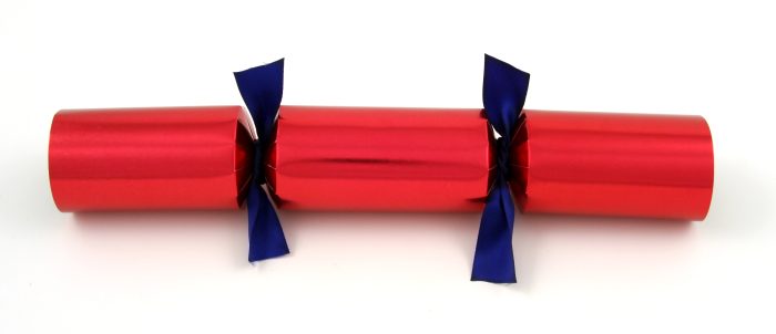 Cats & Dogs Building Block<br> Christmas Crackers - Image 12